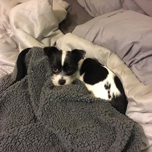 Meet your Posher, Vinnie